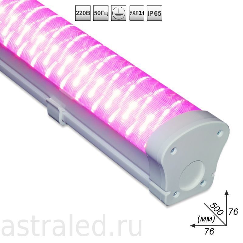 Светильник ДСП-45-01 «Фито» LED IP65